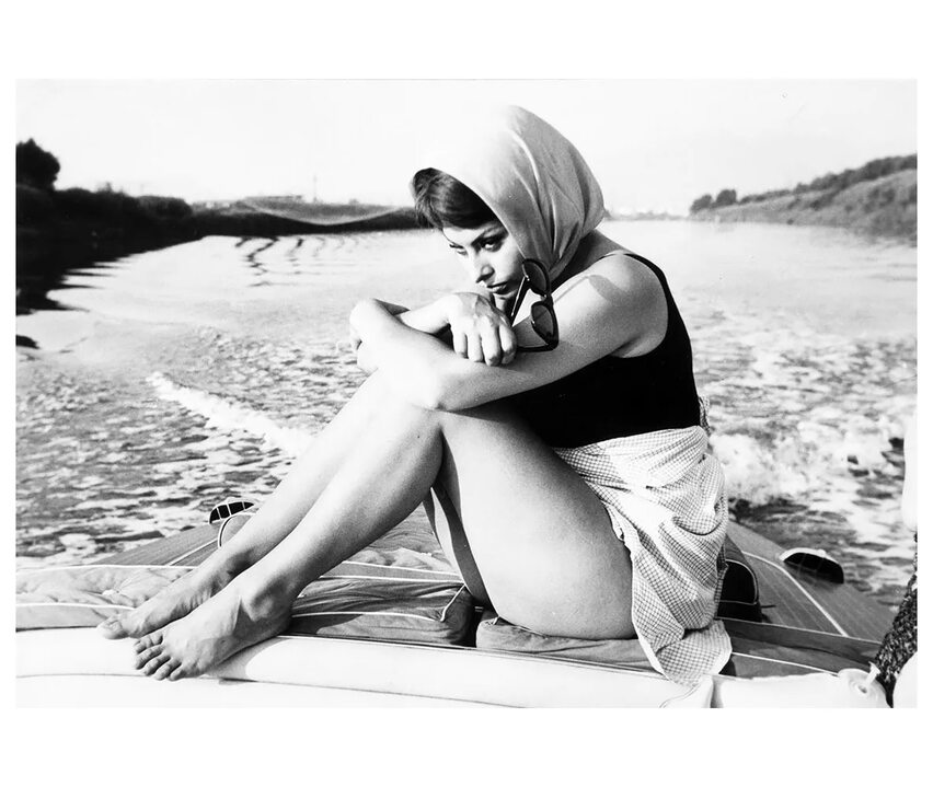 Conversationist Backbenchers Misusing Buckler-headed Shoshones